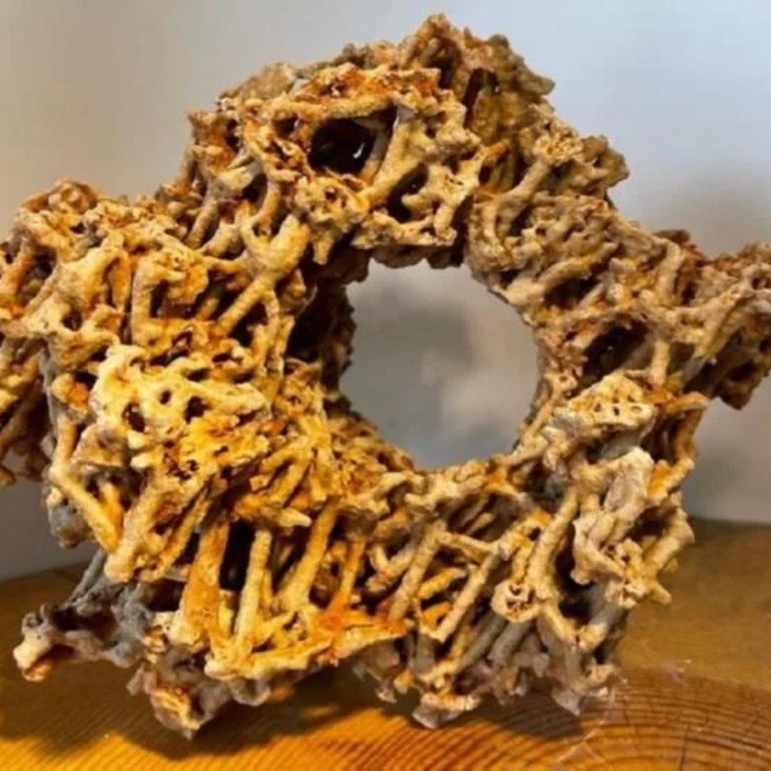 Spaghetti Aquarium Taşı Spaghetti Aquarium Taşı