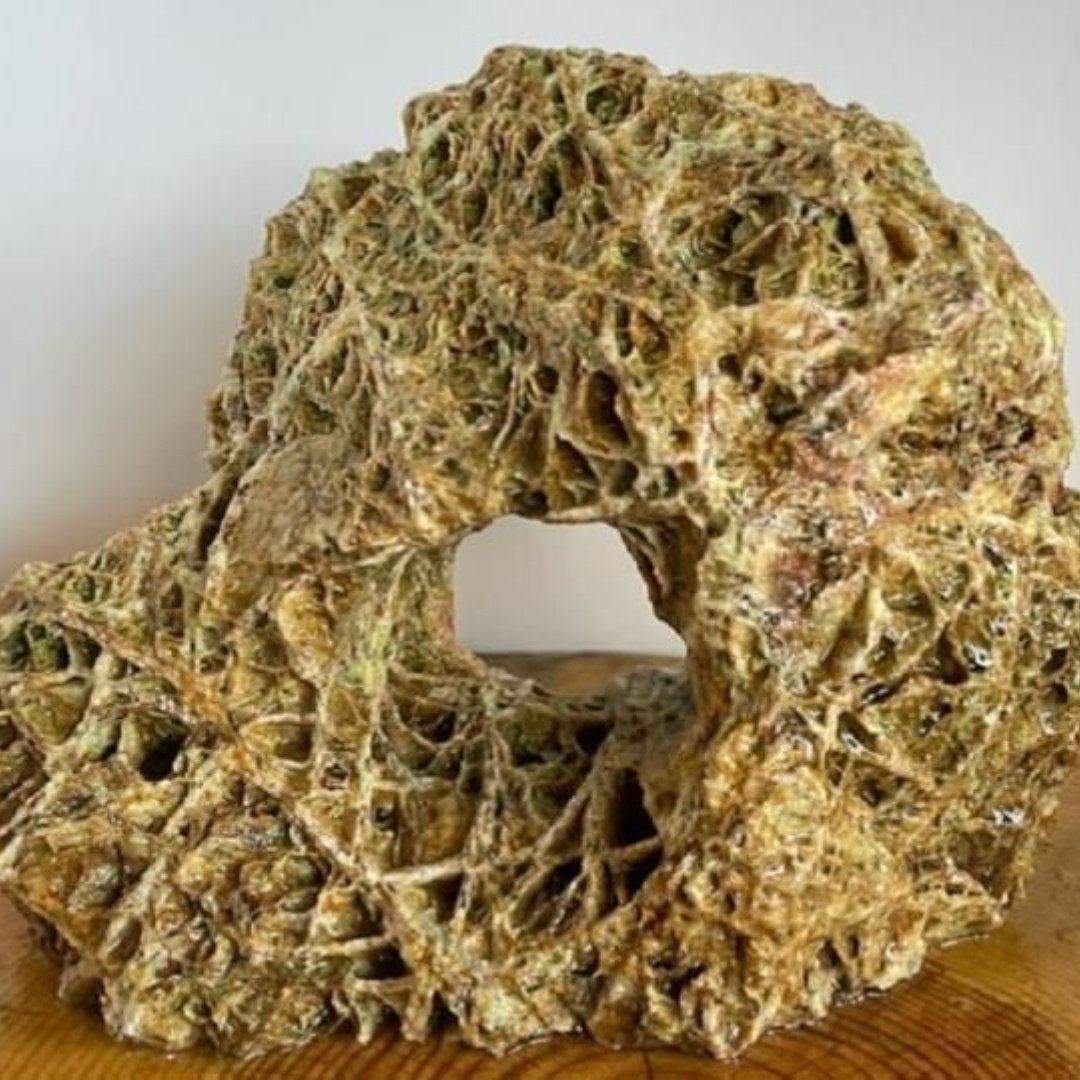 Spider Aquarium Taşı Spider Aquarium Taşı